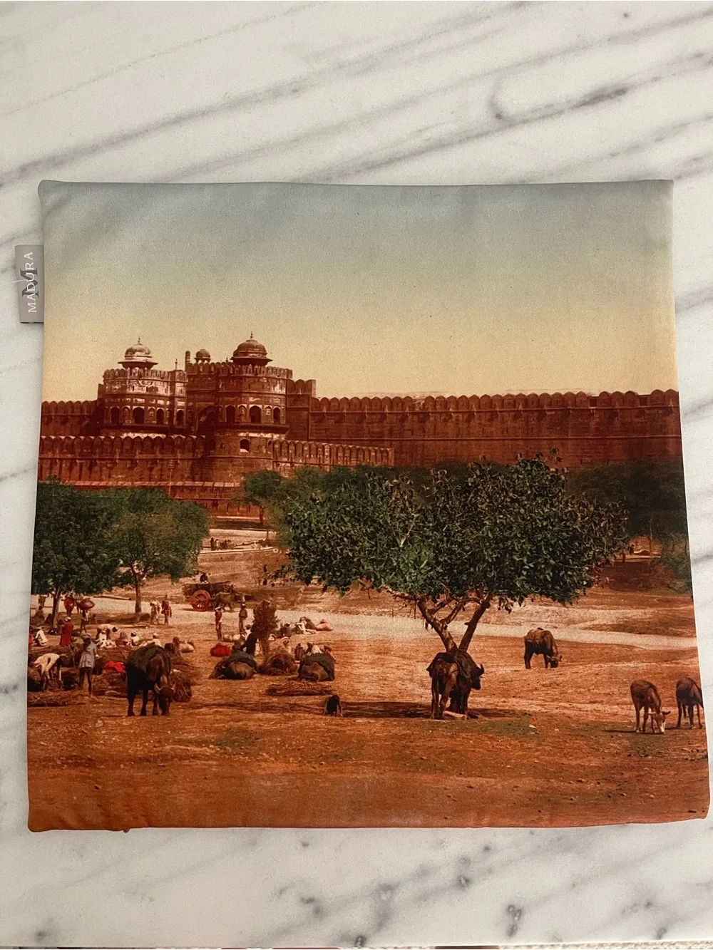 Scenic Printed Pillow Cover w Historic red fort Agra India Agra fort pillow case